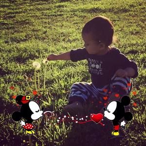 Meet your Posher, Rosie